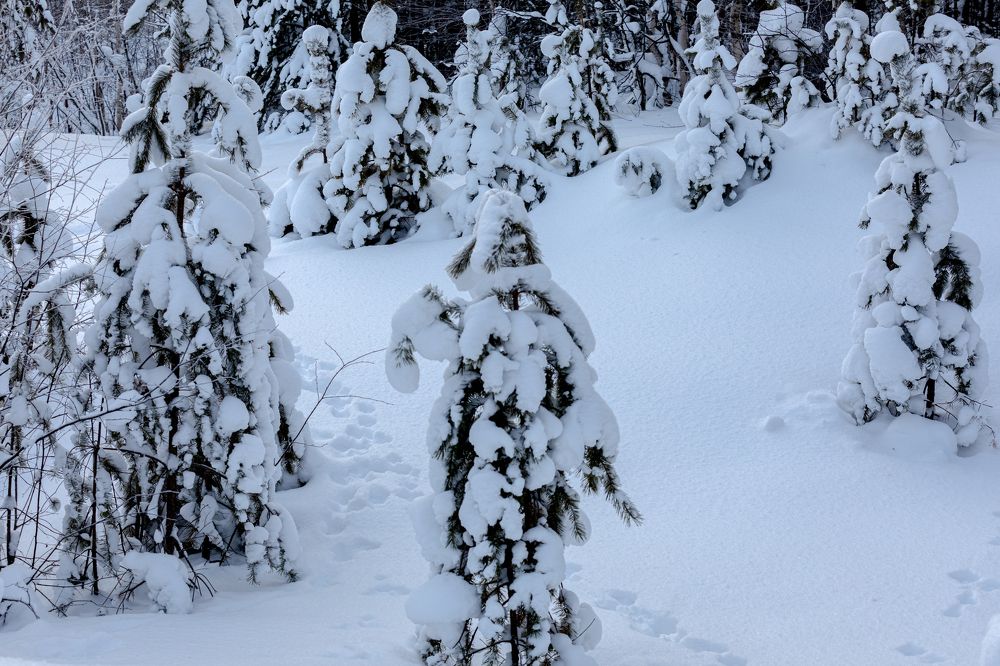 Photograph by Оксана Шаяхметова