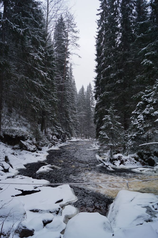 Photograph by Полина Музыченко