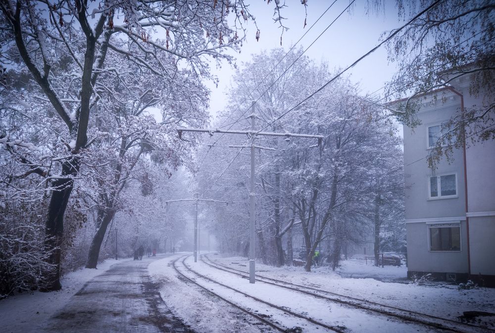 Photograph by Дмитрий Грошиков