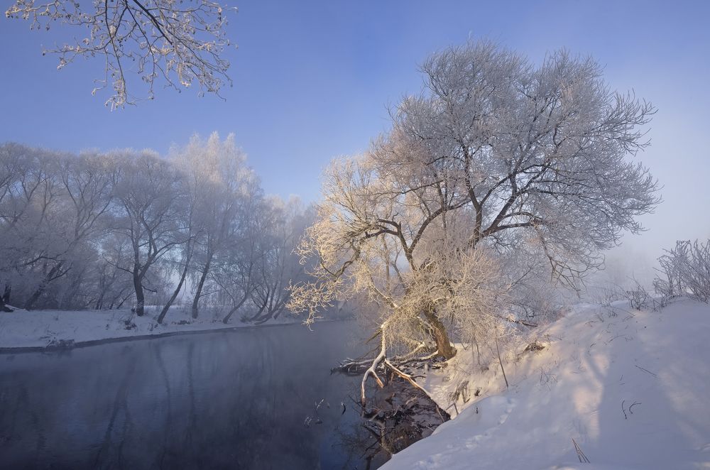 Photograph by Александр Гвоздь