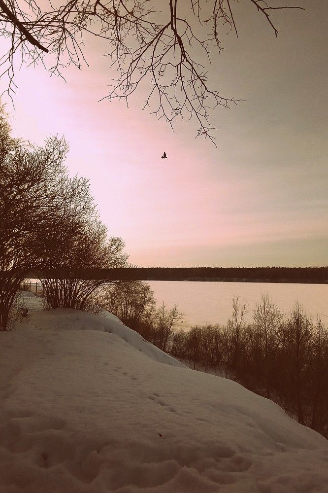 Нева