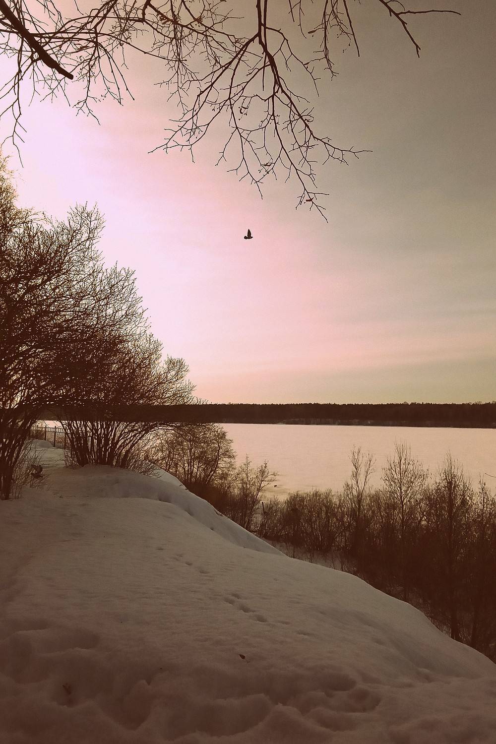 Нева