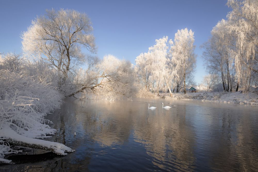 Photograph by Александр Гвоздь
