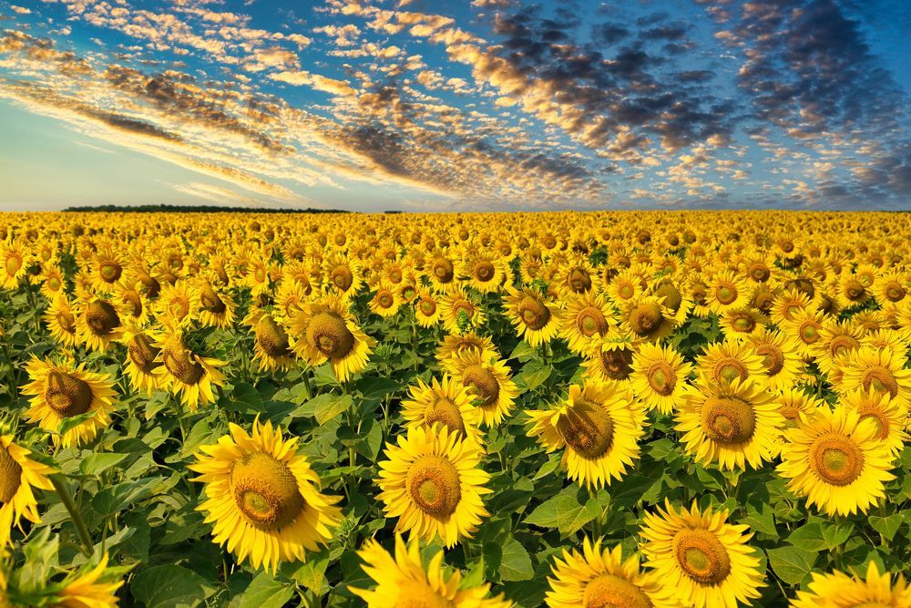 Photograph by Евгений Рощин