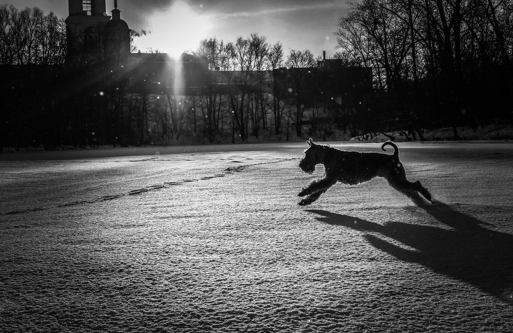 Photograph by Matvey Korotkin