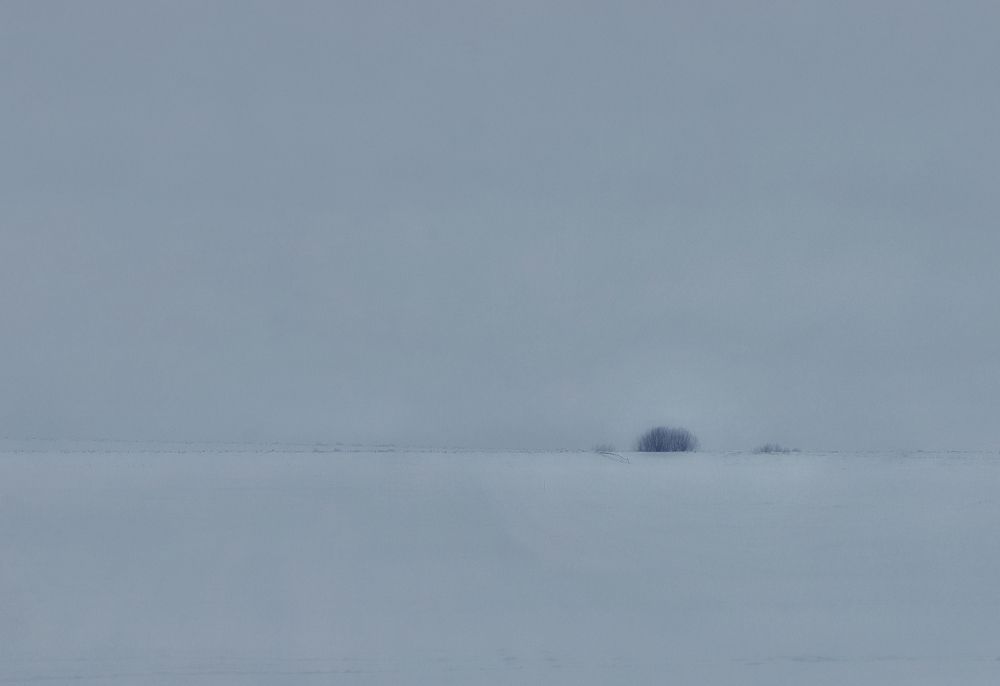 Photograph by Ксения