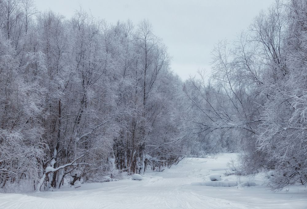 Photograph by Ксения