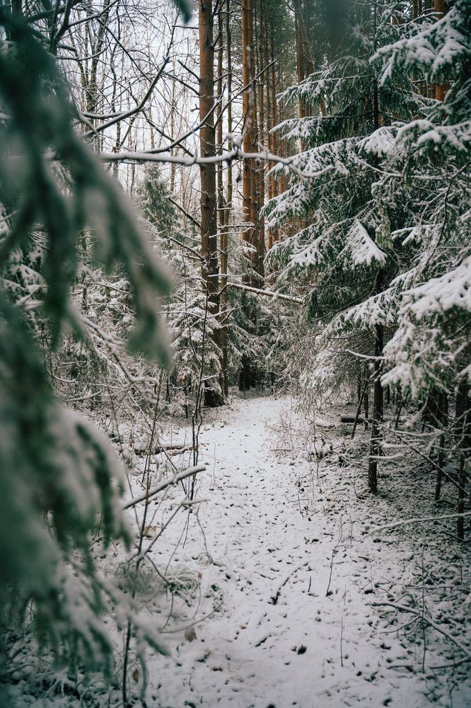 Photograph by Анастасия Иванова