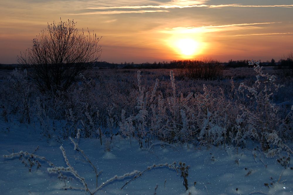 Морозный вечер