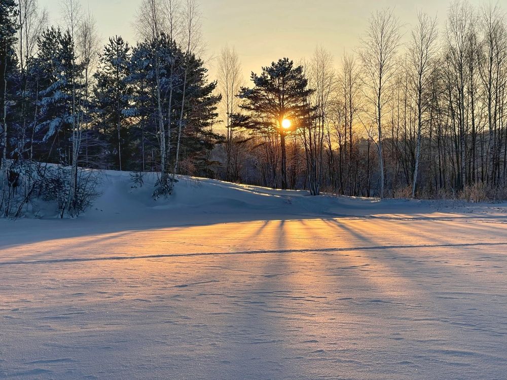 Photograph by Evgenia Barinova