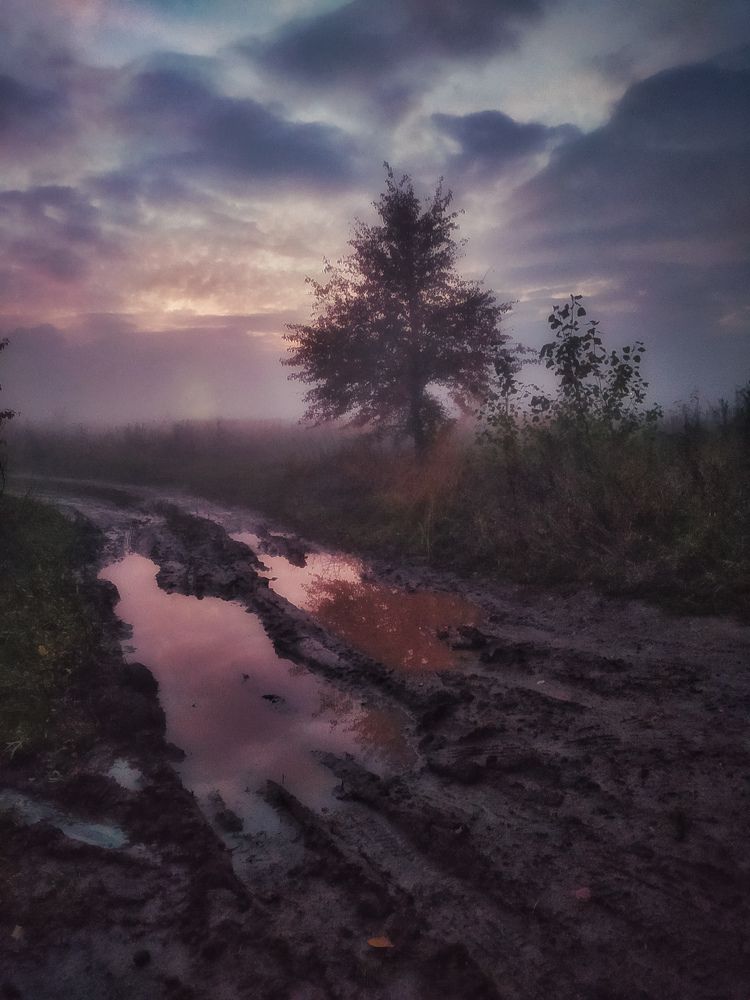 Photograph by Геннадий Глазнев