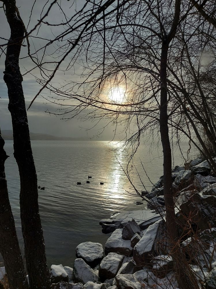 Photograph by Алена Марченко