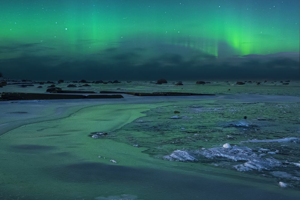 Photograph by Gureva Elena