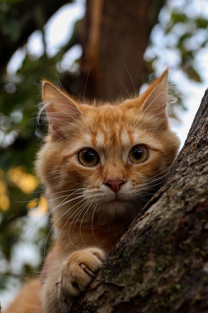 Photograph by Евгений Белов