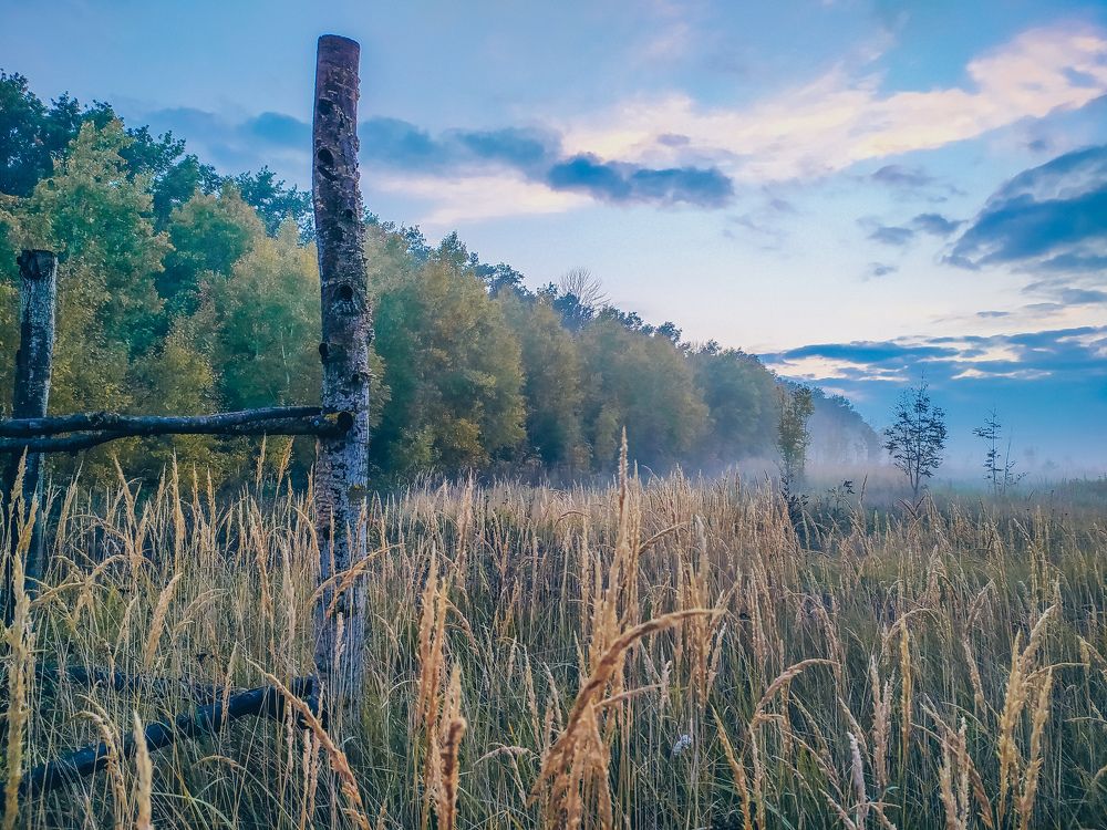 Photograph by Геннадий Глазнев