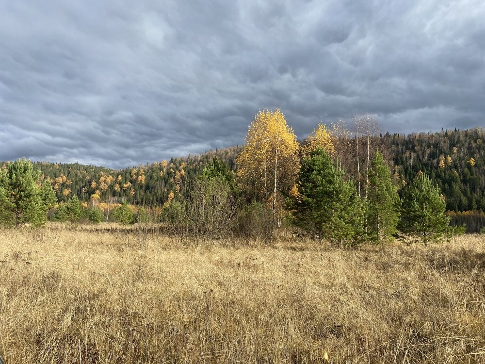 Photograph by Андрей Васеньков