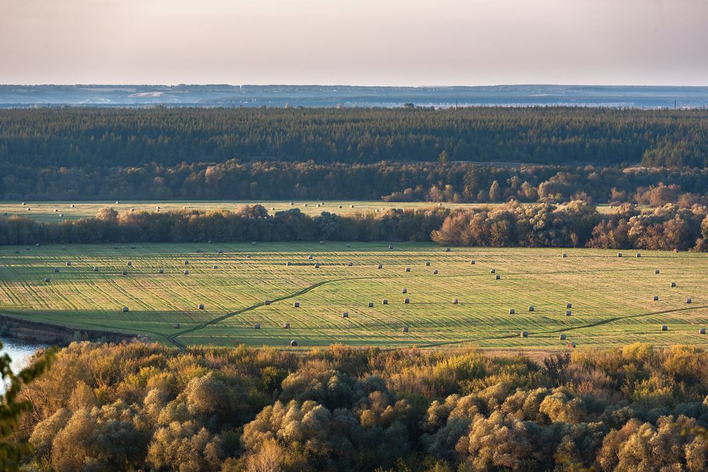 Photograph by Андрей Cоколов