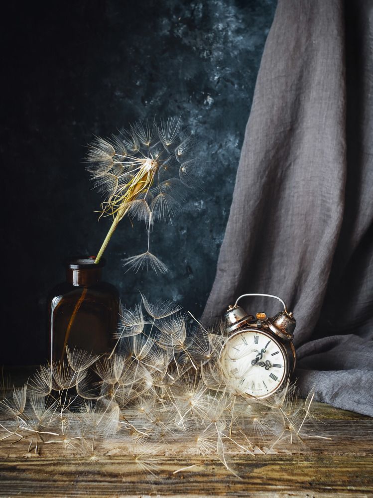 Photograph by Květa Trčková