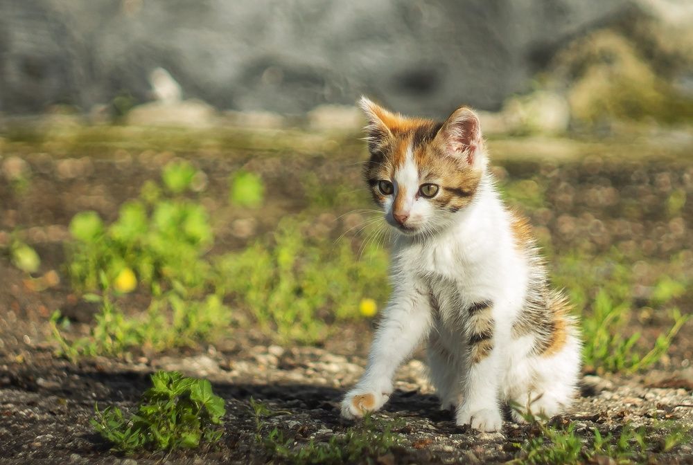 Photograph by Наталья Исиченко