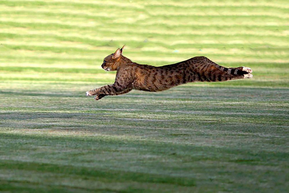 Photograph by mehdi karimi souderjani