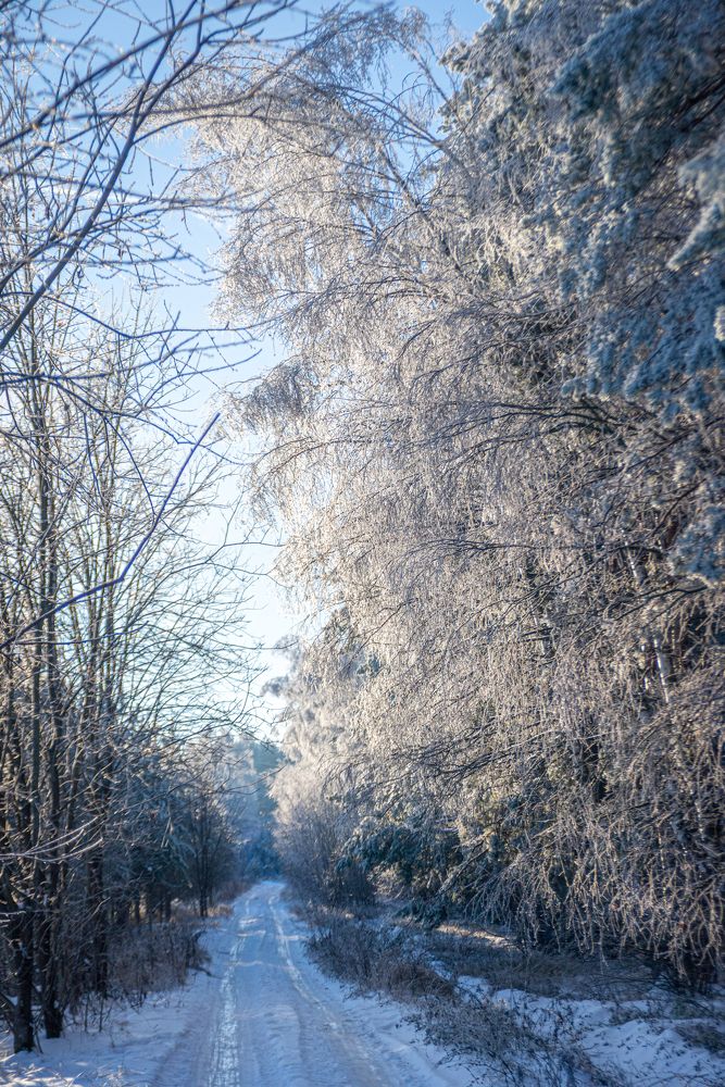 Photograph by Дмитрий Мостовой