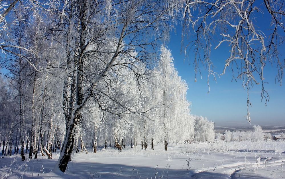 Мороз и солнце...