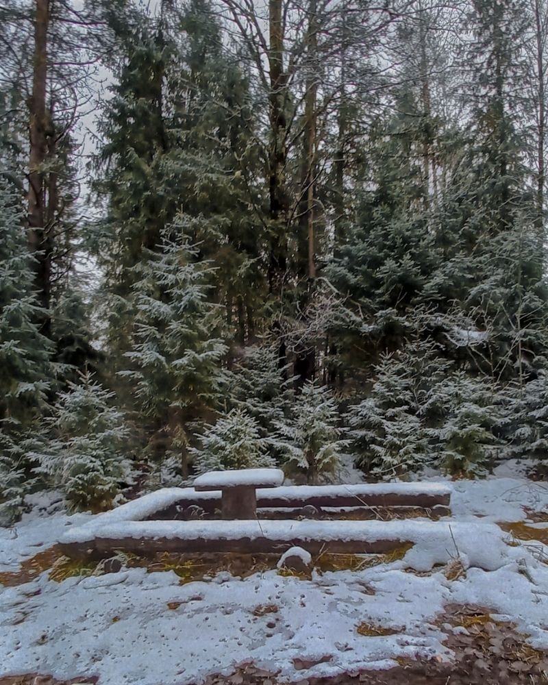 Photograph by Люда Яковлева