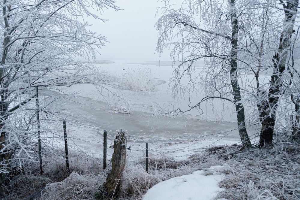 Фотография автора Julia A Caesar