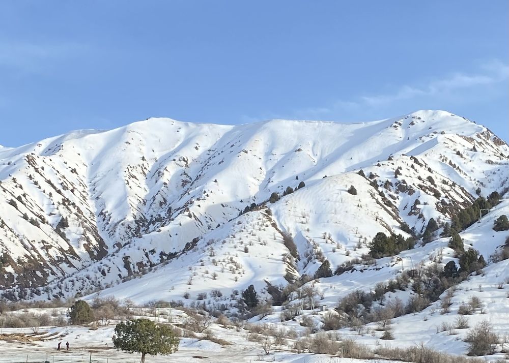 Фотография автора ГУЗАЛИЯ ГАНИЕВА