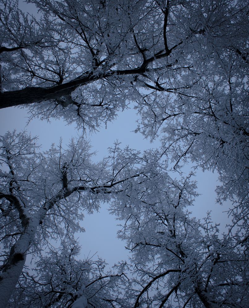 Фотография автора Татьяна Хуссейн