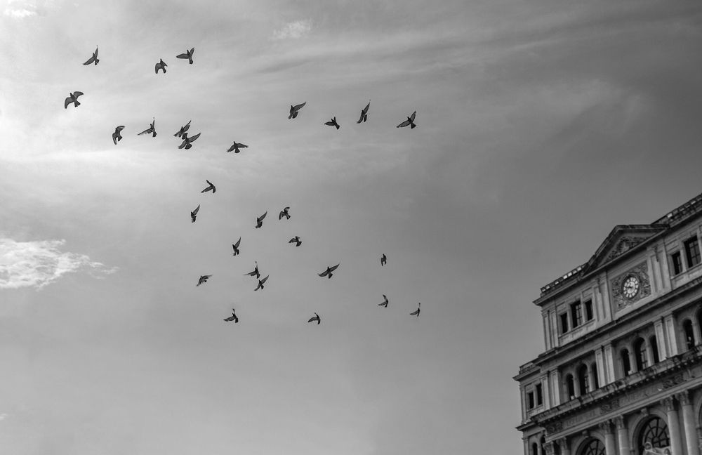 Photograph by Danita Hijuelos