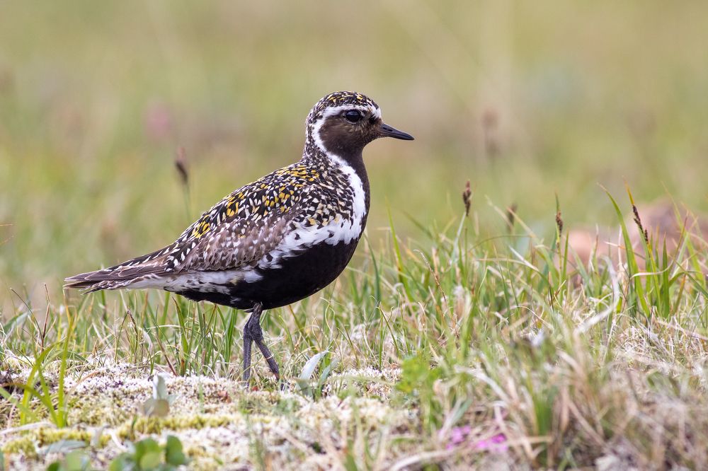 Фотография автора Евгений Гурьевских
