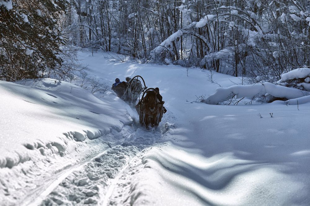 Photograph by Усманов Рашид