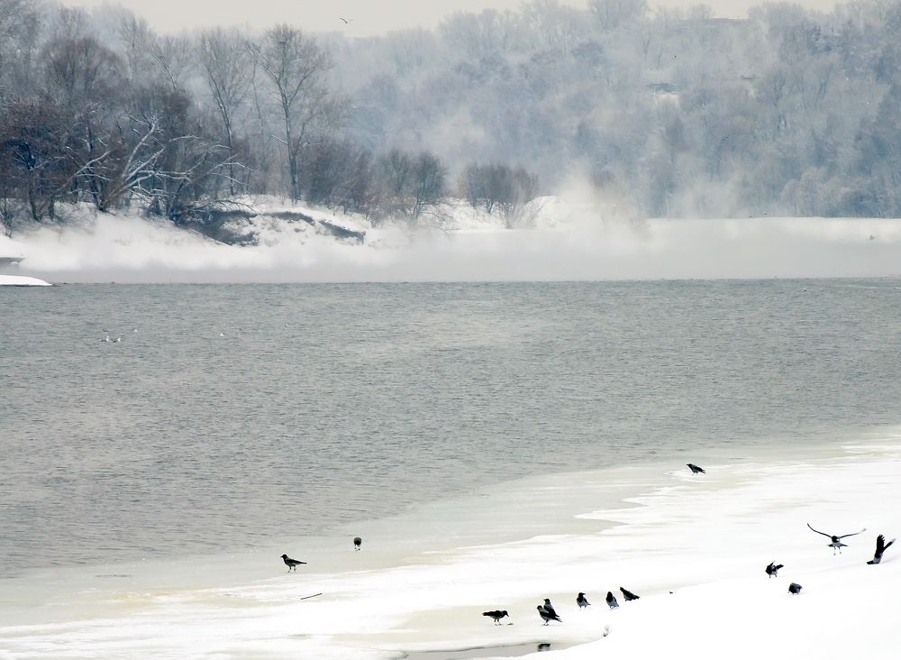 Photograph by Анатолий Миньков