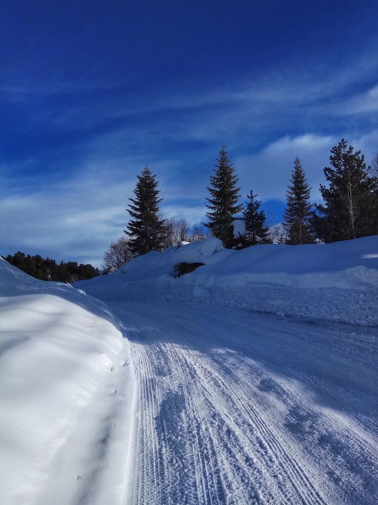 Photograph by Алла Холодова