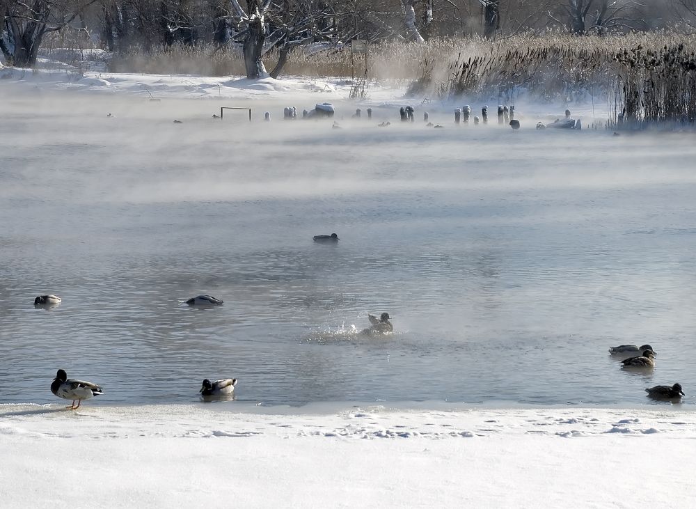 Photograph by Анатолий Миньков