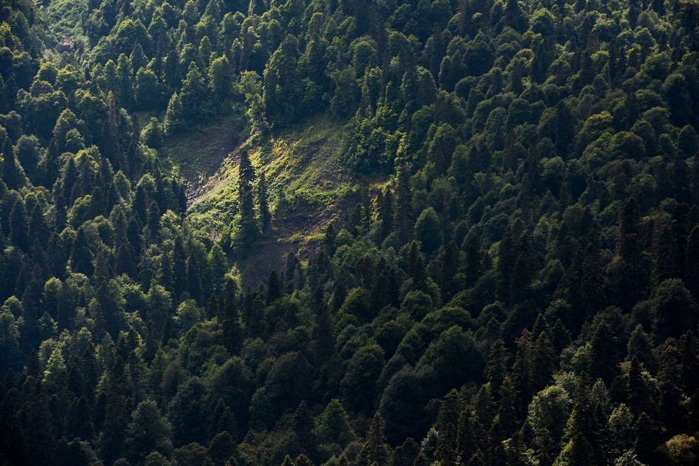 Photograph by Андрей Cоколов