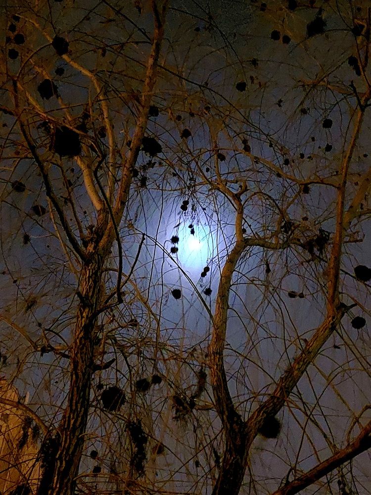 Photograph by Нина Паршина