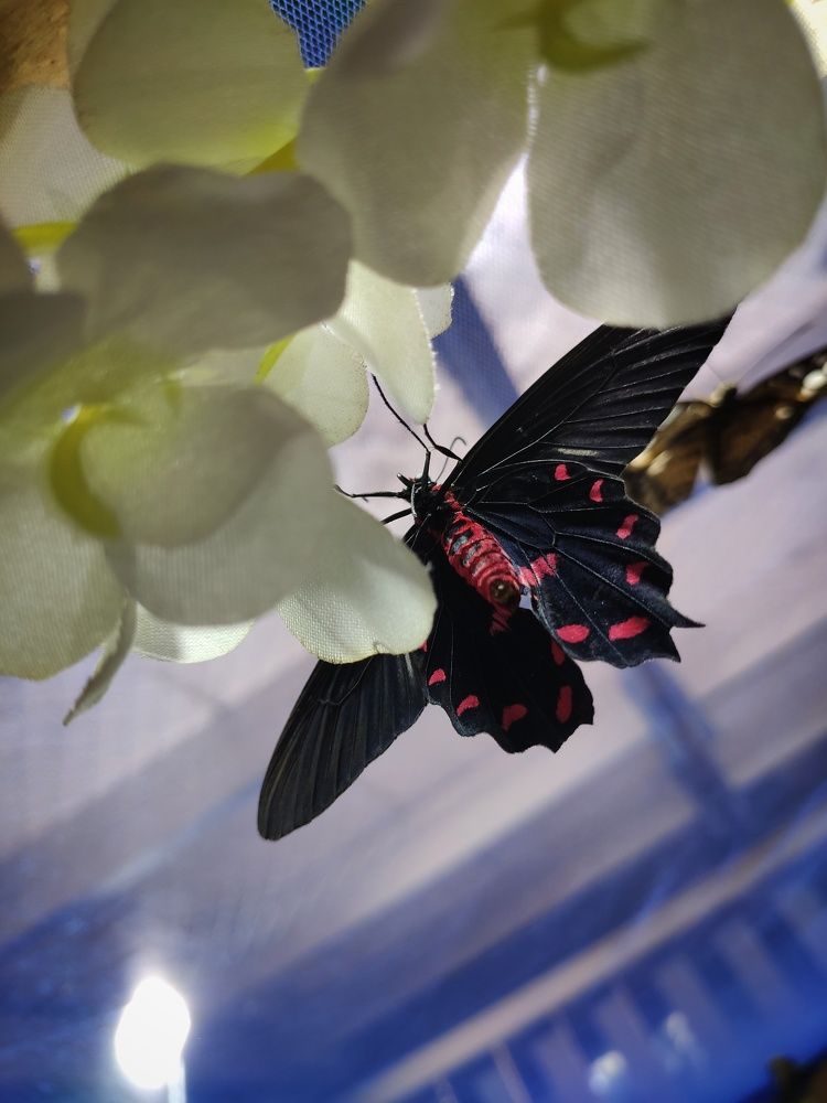 Photograph by Надежда