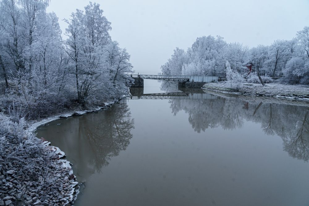 Фотография автора Julia A Caesar