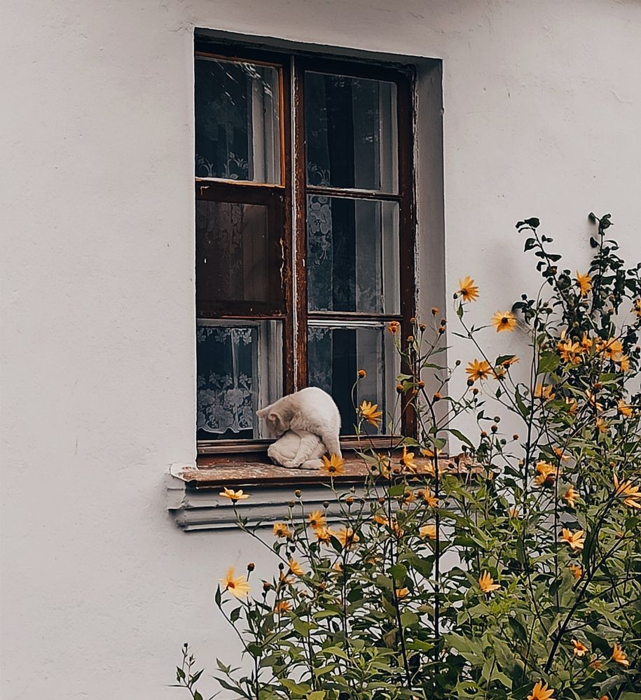 Photograph by Ruslanarar