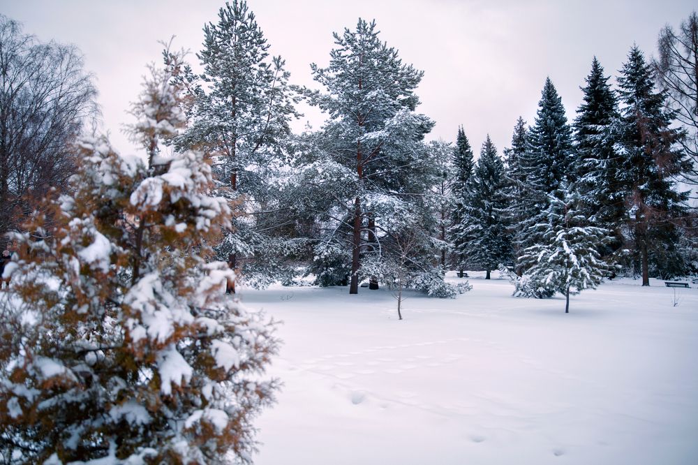 Фотография автора Кристина Догодька