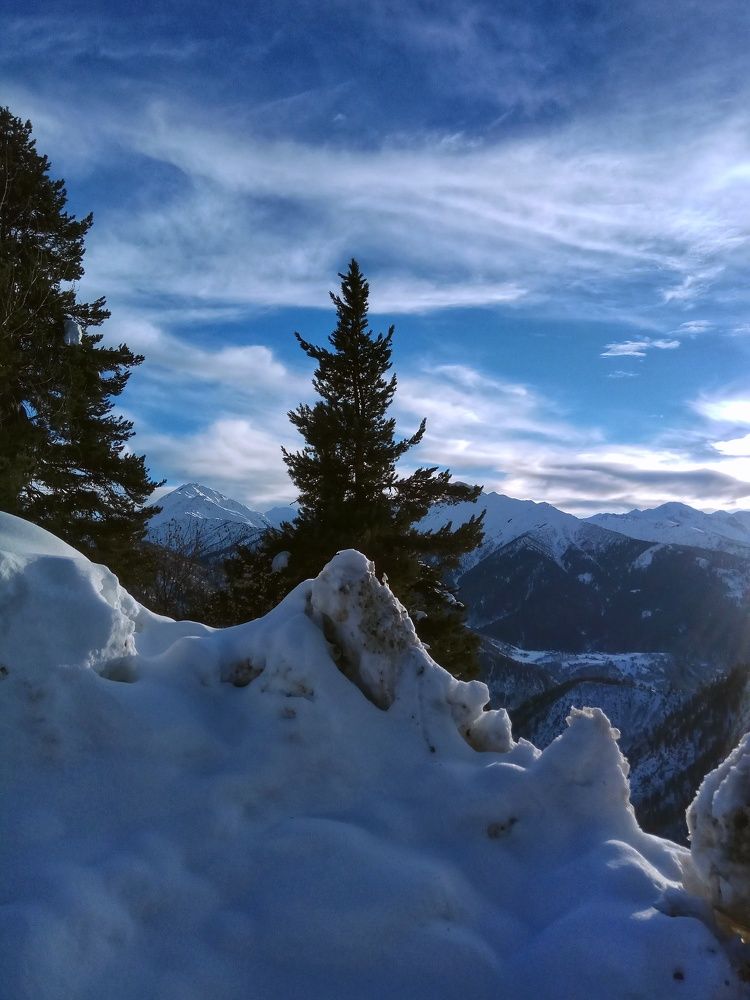 Photograph by Алла Холодова