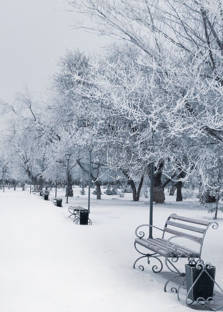 Фотография автора Марина Маллаева