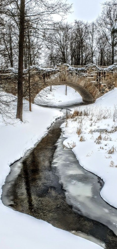 Photograph by Надежда Кудрявцева