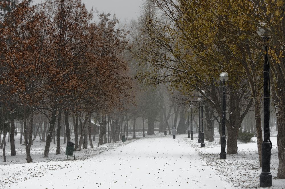 Photograph by Anikin Dimitriy