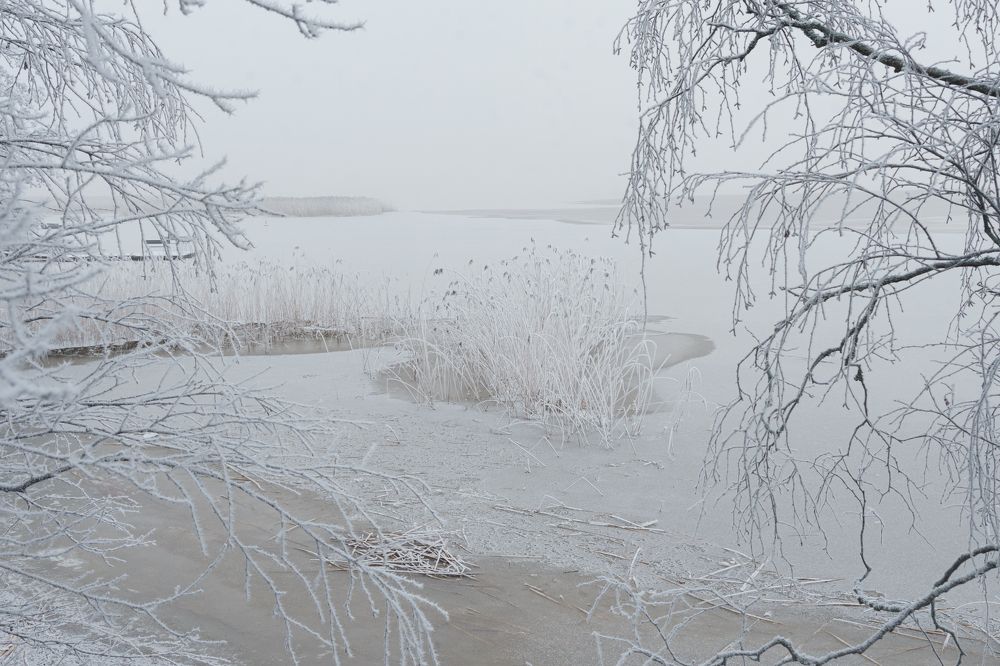 Фотография автора Julia A Caesar