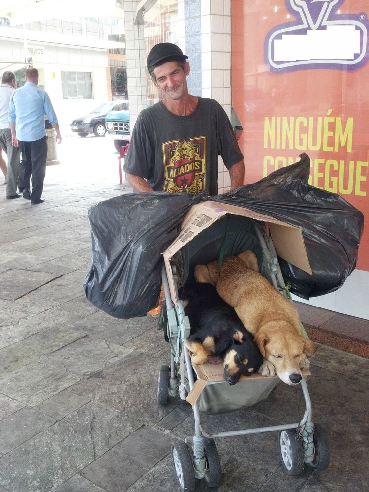 DORME DORME MEUS CÃESZINHOS