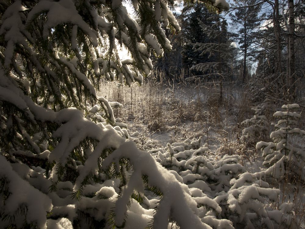 Photograph by Александр