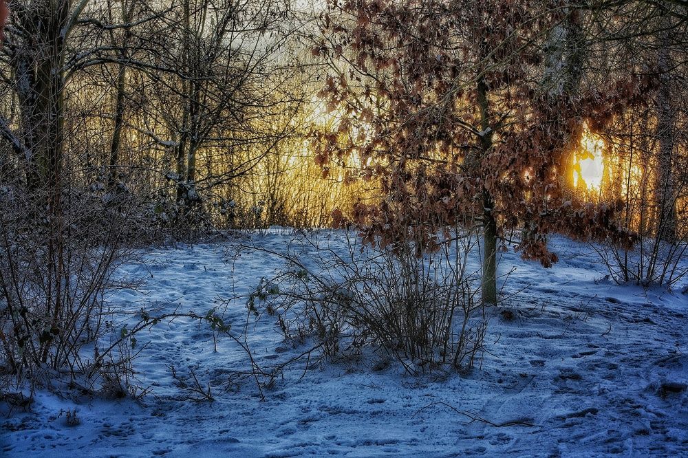 Photograph by Юлия Шмидт